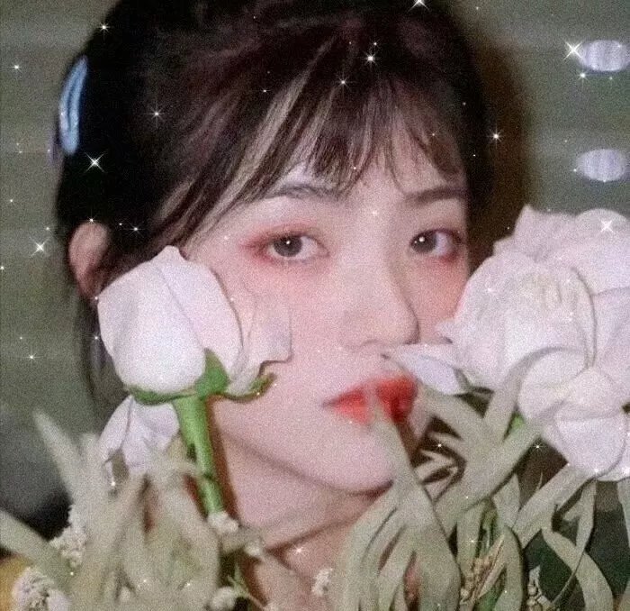 梦想是成为治牛的医生